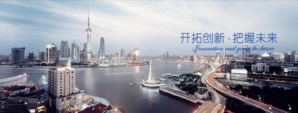 重庆丰华（集团）股份有限公司